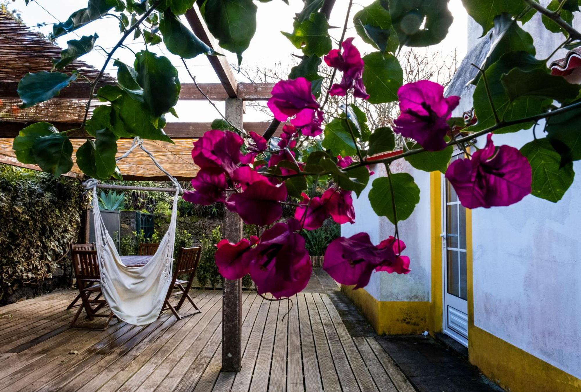 Casa Villa Cottage Ponta Delgada المظهر الخارجي الصورة